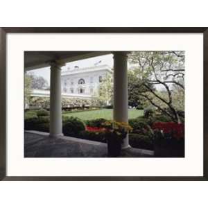  View of the Rose Garden from the White House Framed Art 