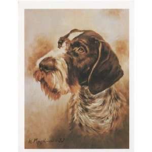  German Wirehaired Pointer Dog Ruth Maystead GWP 1 Portrait 
