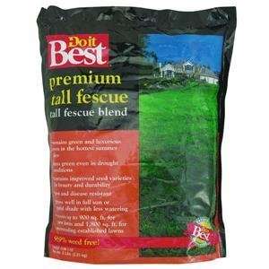   Tall Fescue Grass Seed, 5LB BLEND T FESCUE SEED
