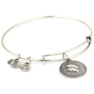 Alex and Ani Bangle Bracelet Bar Russian Silver Plated Pisces Bangle 