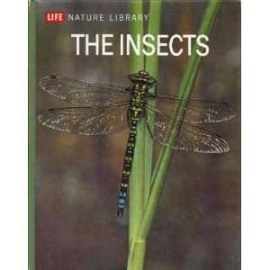  The Insects, Life Nature Library Peter Farb, Time Life 