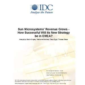 Sun Microsystems Revenue Grows   How Successful Will its New Strategy 