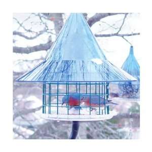   Cafi Bluebird Feeder , Sapphire Blue Dome, Attract Bluebirds, Orioles