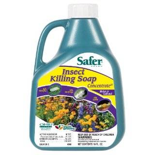 Safer Brand 5118 Insect Killing Soap   16 Ounce Concentrate