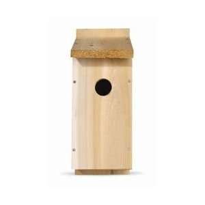  Cedar Wooden Blue Bird House Kit: Home & Kitchen